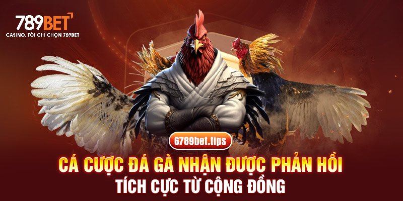 Cá cược đá gà nhận được phản hồi tích cực từ cộng đồng